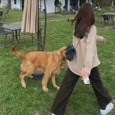 车队